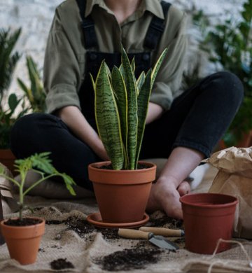 ECO Garden Services